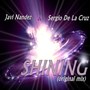 Shining (Original Mix)