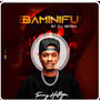 DJ SEVEN BAMINIFU