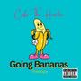 Going Bananas Freestyle (Explicit)