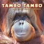 Tambo Tambo