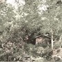her garden (alt versions)