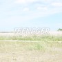 TEENAGER (2023 Rerecording Version)