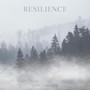 Resilience