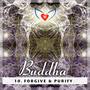 Guided Ascension Healing Meditation 10: Buddha - Forgive & Purify