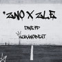 ZNO x ZLE (Explicit)