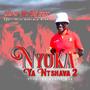 Nyoka Ya Ntshava 2 (feat. Clever The Big Boss & IK Vocalist)