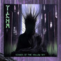 Echoes of the Hollow Sky