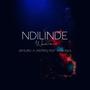 Ndilinde wena (feat. Instri Dj & Ayabonga)