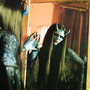 CUT YOU OUT (Explicit)