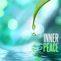 Inner Peace: Brain Music, Meditation and Well-being Relaxing Music with Sounds of Nature, Ambient Fl