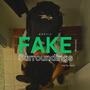 Fake Surroundings (Explicit)