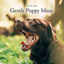 Gentle Puppy Music