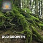 Old Growth, New Roots