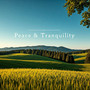 Peace & Tranquility - Hamsadhwani