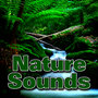 Nature Sounds