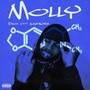 Molly (feat. Kash Kage) [Explicit]