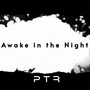 Awake in the Night