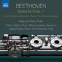 BEETHOVEN, L. van: Flute Works, Vol. 1 (Kazunori Seo, Patrick Gallois, Mitsuo Kodama, Asuka Sezaki, Koichi Komine)