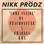 Come Inside (Nikk Prodz Remix)