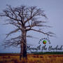 Beneath the Baobab