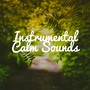 Instrumental Calm Sounds: Relaxation Moods, Spa Music, Sleep Meditation Music, Zen Therapy, Sea Ambient & Nature