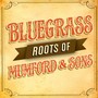 Bluegrass Roots of Mumford & Sons