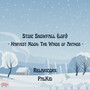 Stoic Snowfall (from 