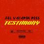 TESTIMONY (Explicit)