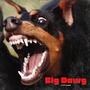 Big Dawg (Explicit)