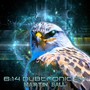6:14 Dubtronic 2x