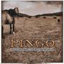 Pingo