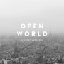 OPEN WORLD