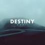 Destiny (feat. Jovana)