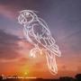 moondance
