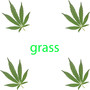 Grass