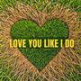Love You Like I Do