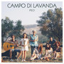 Campo di lavanda (Explicit)