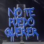 No Te Puedo Querer (feat. VCNT) [Explicit]