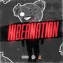 Hibernation (Explicit)