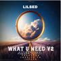 What U Need V2 (All Versions) [Explicit]