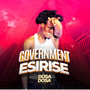 Government Esilise