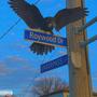THE WOODS (Explicit)