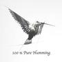 Hummingbird (Pure Humming Version)