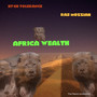 Africa Wealth