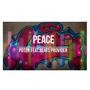 PEACE (feat. Beats Provider)