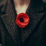 The Poppy