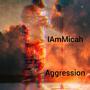 Aggression (Explicit)