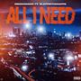 All I Need (feat. Slappatharappa) [Explicit]