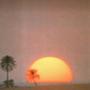 Too Close To The Sun (Explicit)