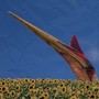 Quetzalcoatlus